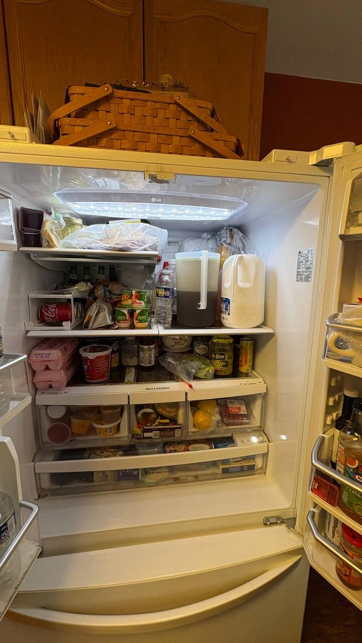Inside LG refrigerator during interior repair
